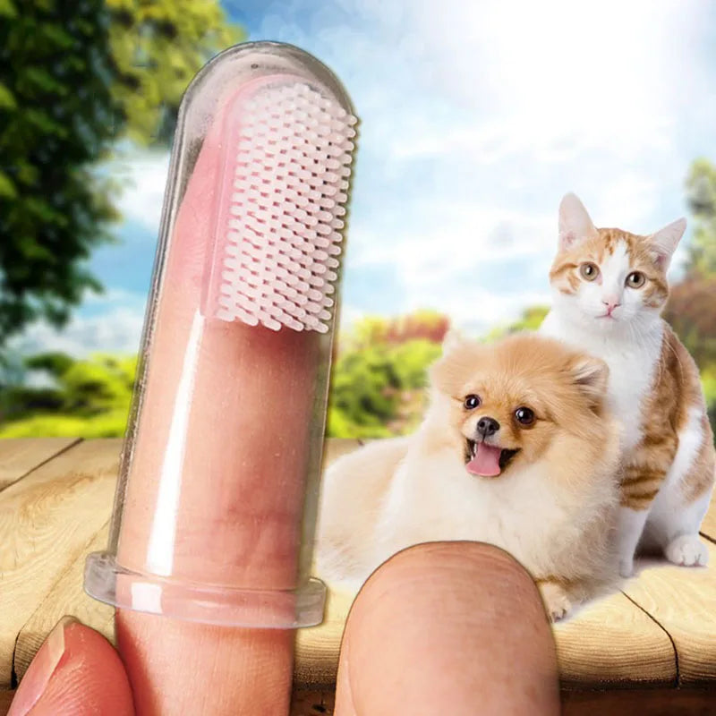 Hot Selling Soft Pet Finger Toothbrush Teddy Dog Brush